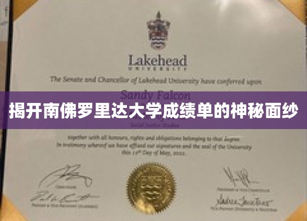 解码南佛罗里达大学，揭秘成绩单背后的秘密世界