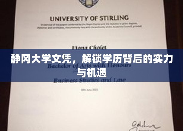 静冈大学文凭，解锁学历背后的实力与机遇
