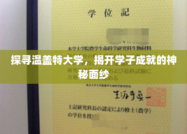 温盖特大学奇迹揭秘，学子成就背后的神秘力量
