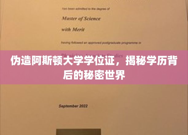 伪造名校学历，揭秘学历造假背后的惊心动魄