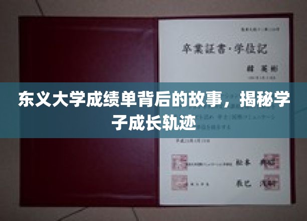 东义大学成绩单背后的故事，揭秘学子成长轨迹