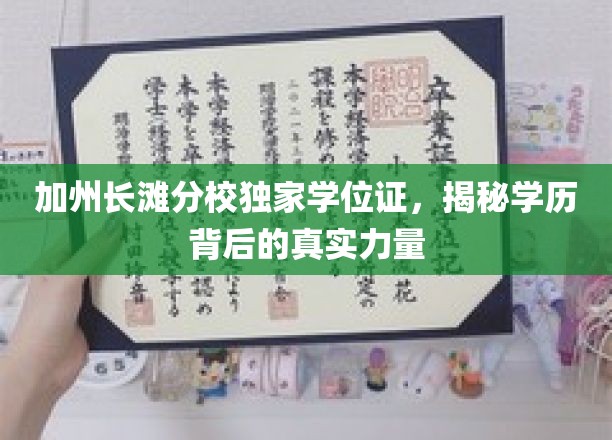 加州长滩分校独家学位证，揭秘学历背后的真实力量