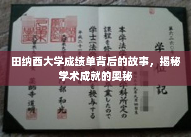田纳西大学成绩单背后的故事，揭秘学术成就的奥秘