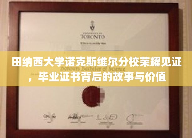 田纳西荣耀，诺克斯维尔分校毕业证书的传奇历程与深远意义