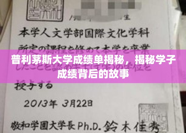 解码普利茅斯学子成绩，背后的奋斗与成长轨迹