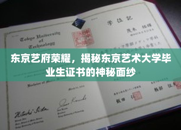 东京艺府传奇，一探艺术大学证书背后的独特魅力