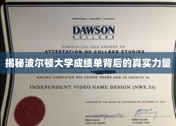 波尔顿大学成绩单，揭秘背后的神秘推手