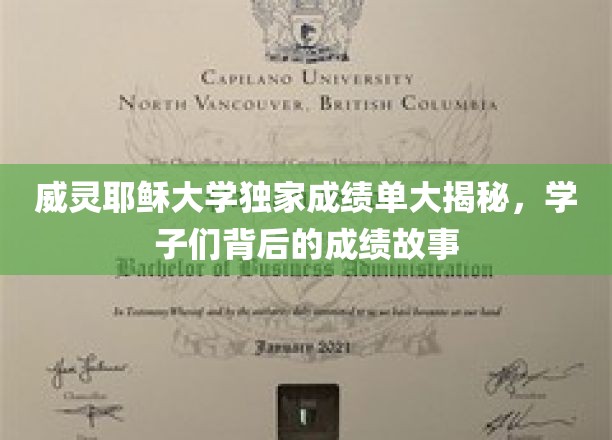 揭开威灵耶稣大学学子成绩背后的励志篇章