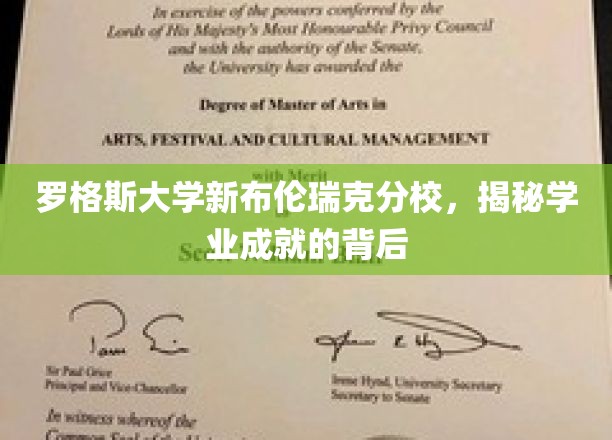 探索罗格斯大学新布伦瑞克分校学业成就的秘密源泉