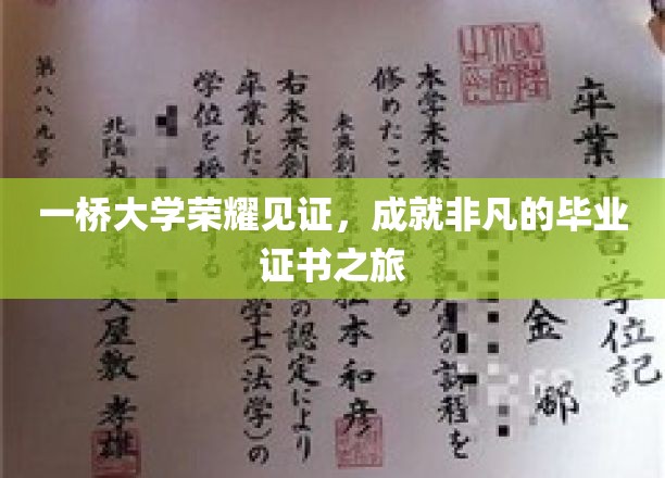 一桥大学荣耀之旅，毕业证书背后的非凡历程