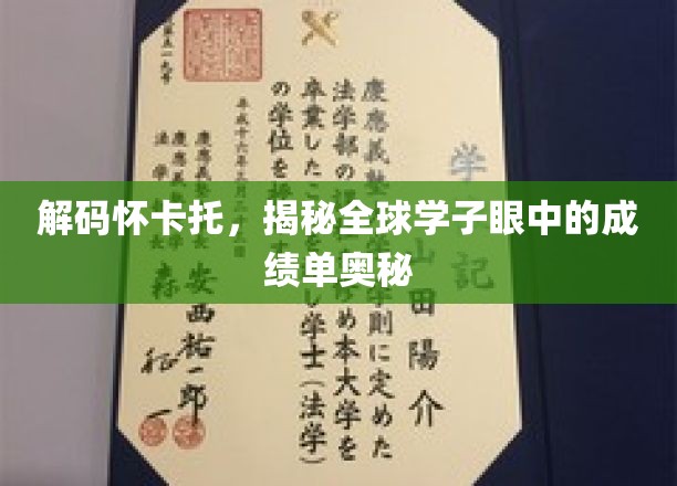 怀卡托之光，揭秘世界学子眼中成绩单的神秘面纱