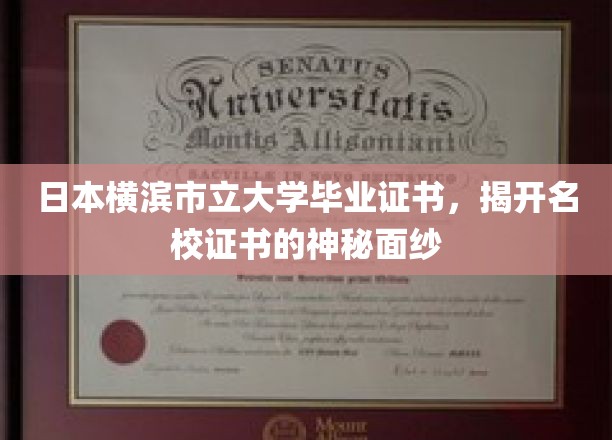 日本横滨市立大学毕业证书，揭开名校证书的神秘面纱