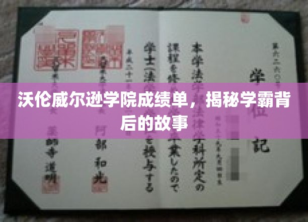 沃伦威尔逊学院成绩单，揭秘学霸背后的故事