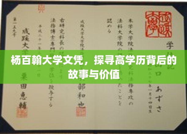 解码杨百翰高学历光环，背后的故事与深层价值揭秘