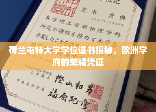 荷兰屯特大学学位证书揭秘，欧洲学府的荣耀凭证