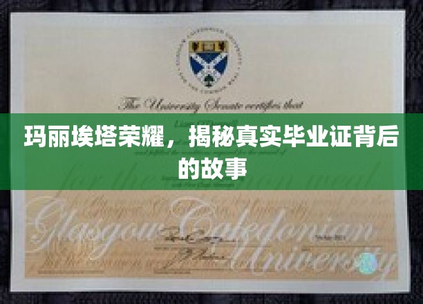 玛丽埃塔荣耀，毕业证之谜背后的非凡传奇