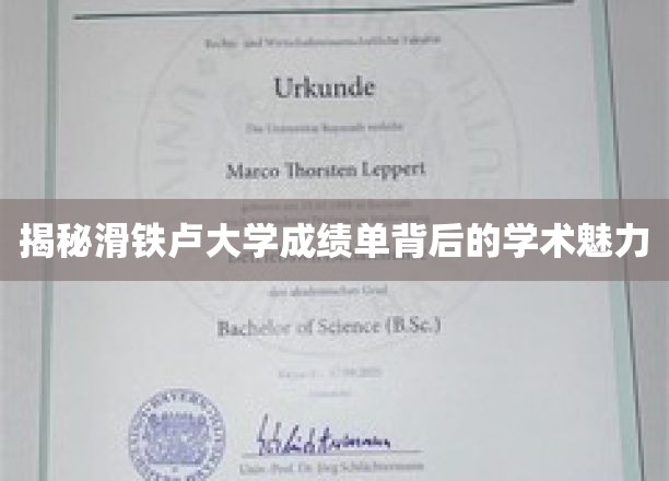 揭秘滑铁卢大学成绩单背后的学术魅力