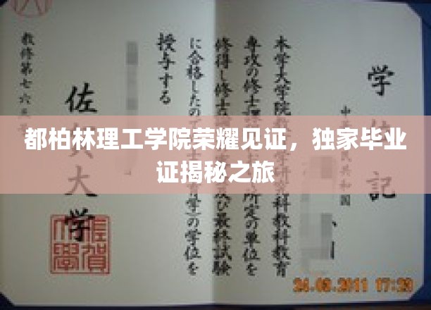 都柏林理工学院荣耀见证，独家毕业证揭秘之旅