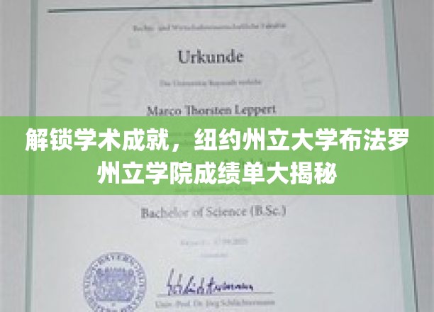 探索学术成就，纽约州立大学布法罗分校成绩单深度解析