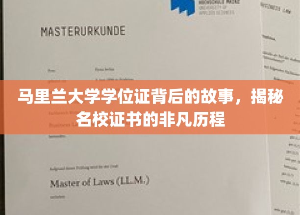 马里兰大学学位证，探寻名校证书背后的传奇之路