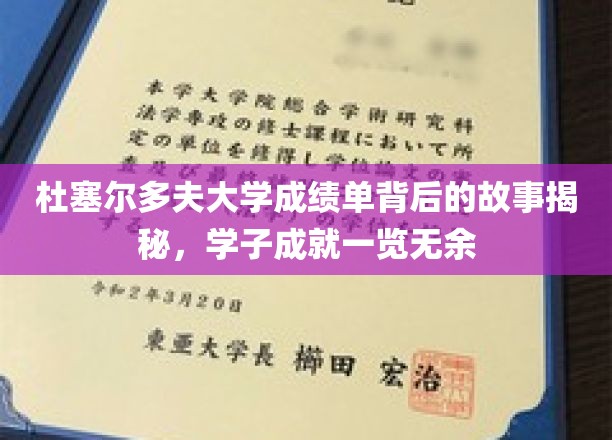 解锁杜塞尔多夫大学成绩单，学子辉煌历程大揭秘