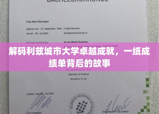 利兹城大荣耀背后，揭秘一纸成绩单的非凡历程