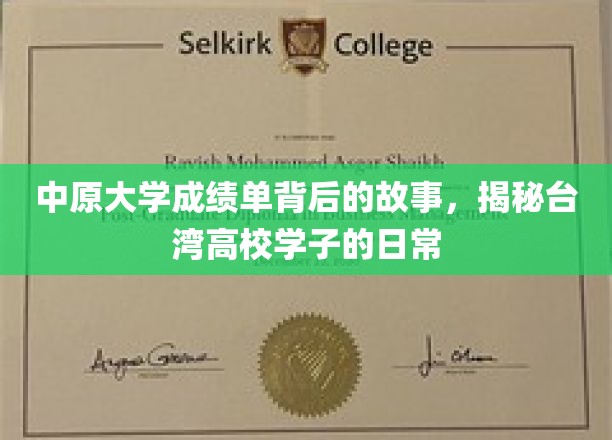 探寻中原大学学子成绩单背后的精彩生活