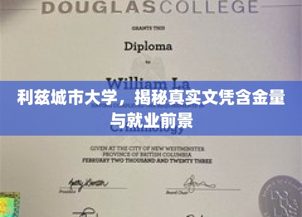 利兹城市大学：揭秘真实文凭含金量与就业前景