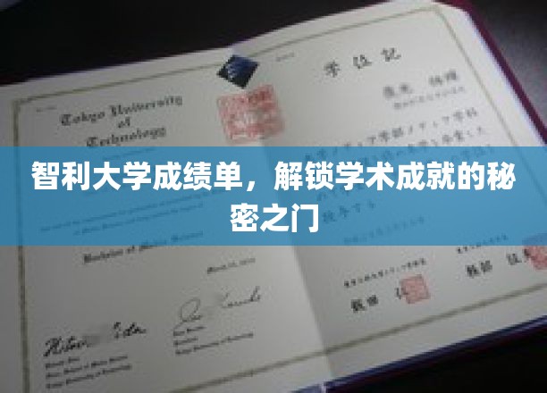 智利大学成绩单，解锁学术成就的秘密之门
