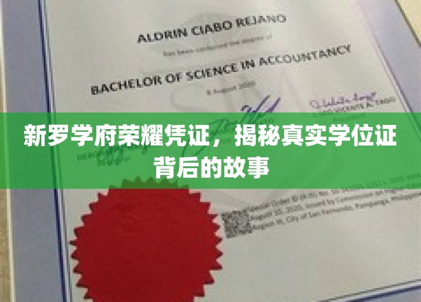 学位荣耀揭秘，新罗学府背后的真实学位证传奇
