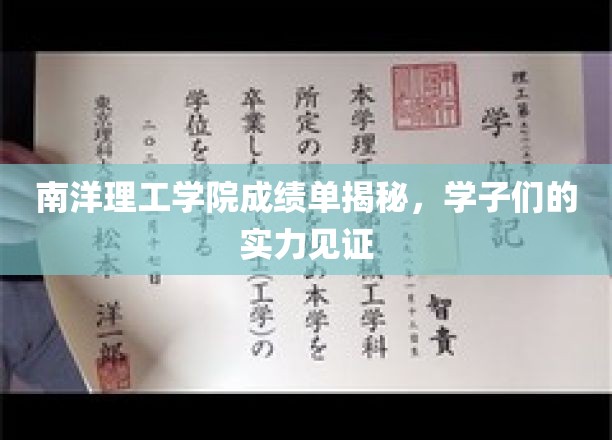 南洋理工学院成绩单大揭秘：学子实力风采展现