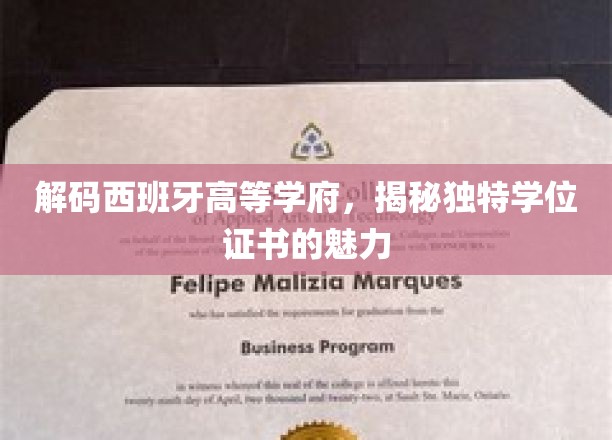 探索西班牙名校奥秘，一纸学位证书背后的非凡价值