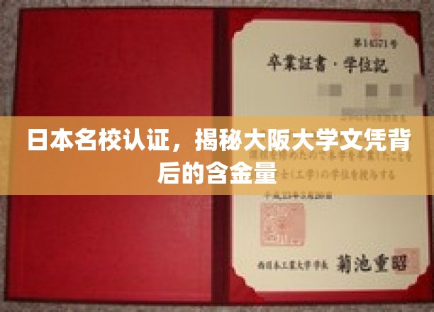 大阪大学文凭，日本名校认证，价值几何？