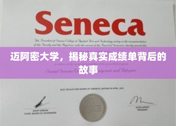 迈阿密大学成绩单背后的不为人知之谜