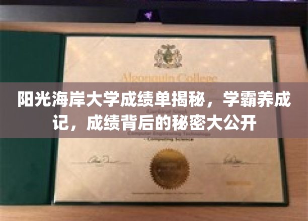 揭秘学霸养成之路，阳光海岸大学成绩单背后的惊人秘密