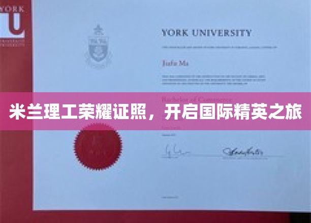 米兰理工硕士荣光，跨国精英梦之旅启航