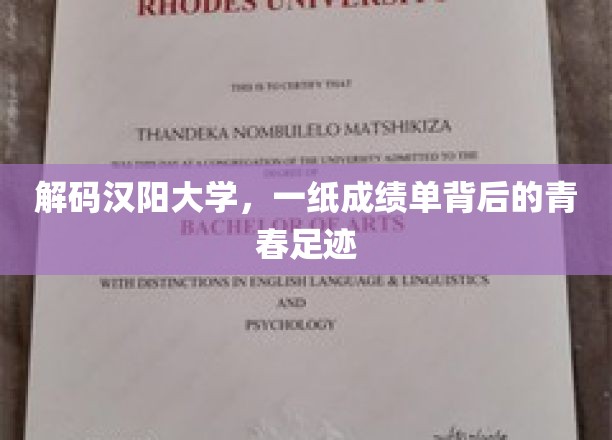 探寻汉阳大学，成绩单映照下的青春轨迹