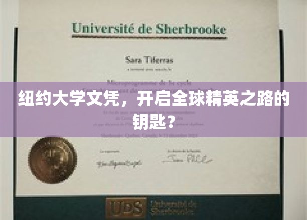 纽约大学文凭，解锁全球精英圈层的金钥匙？