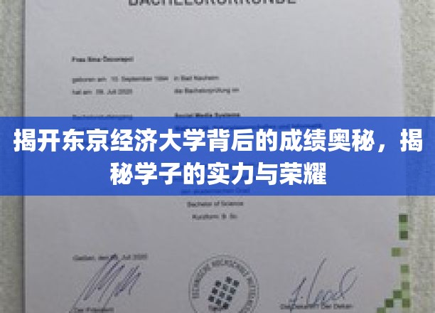 解码东京经济大学，学子辉煌背后的秘密力量