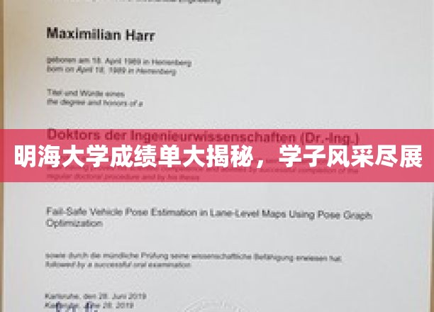 明海大学成绩单大揭秘，学子风采尽展