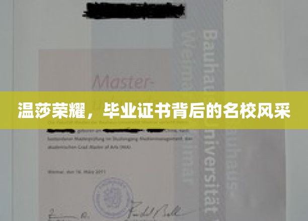 温莎荣耀揭秘，名校证书背后的璀璨风采