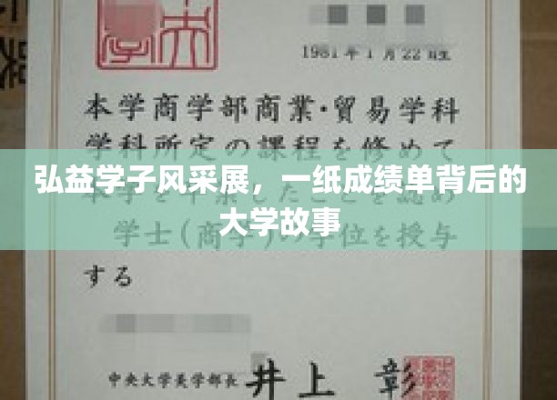 成绩单映照下的弘益青春，探寻学子背后的大学传奇