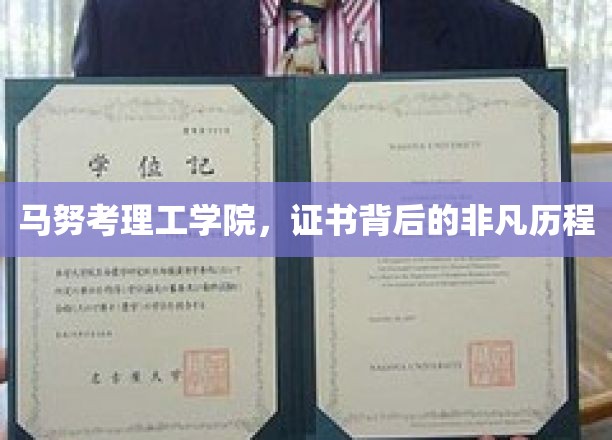 马努考理工学院，证书背后的传奇之旅