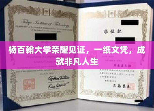 杨百翰大学辉煌证照，开启非凡人生篇章