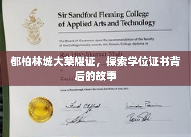 都柏林城大荣耀证，探寻学位证书背后的故事