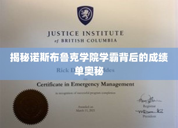 诺斯布鲁克学霸养成记，揭秘他们的成绩单秘密