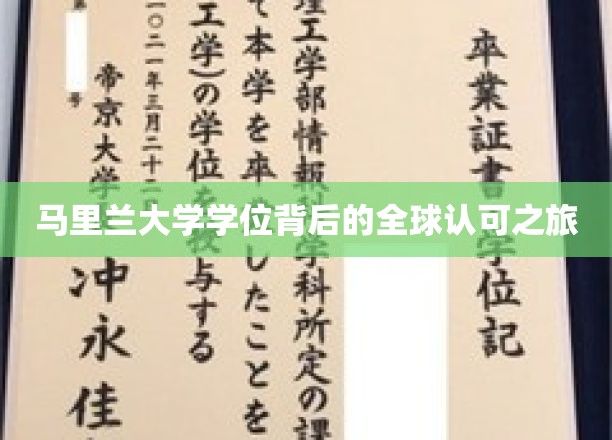 马里兰大学学位背后的全球认可之旅