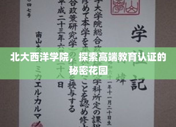 揭开北大西洋学院高端教育认证的神秘面纱