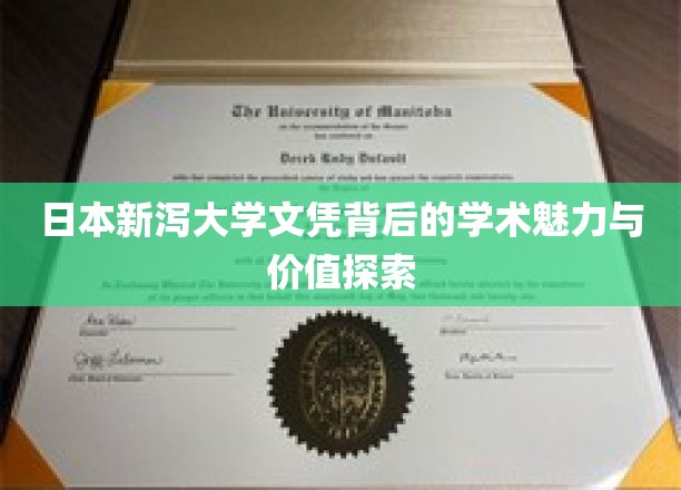 探寻日本新泻大学文凭的学术光环与深层价值