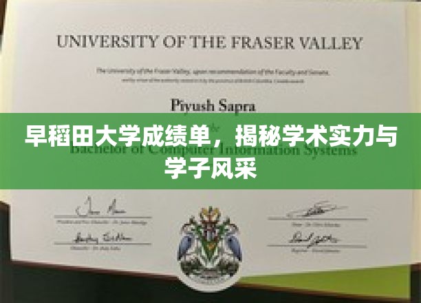 早稻田大学成绩单，揭示学术实力与学子风采